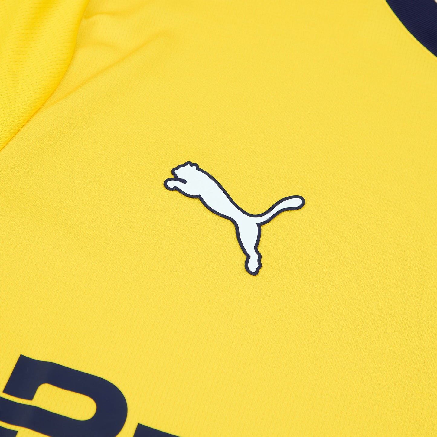 Parma 3a Maglia 24/25 Adulto